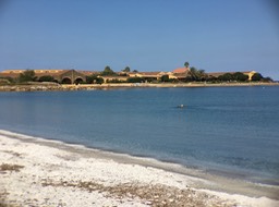 IMG_4747 (2)